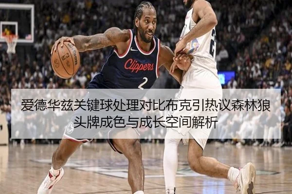 爱德华兹关键球处理对比布克引热议森林狼头牌成色与成长空间解析
