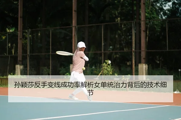 sun-ying-sha-fan-shou-bian-xian-cheng-gong-lv-jie-xi-nv-dan-tong-zhi-li-bei-hou-de-ji-shu-xi-jie-2-232.jpg